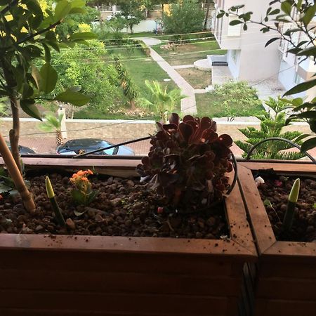 Orange Garden Lejlighed Antalya Eksteriør billede